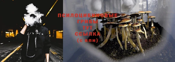 марки lsd Козельск